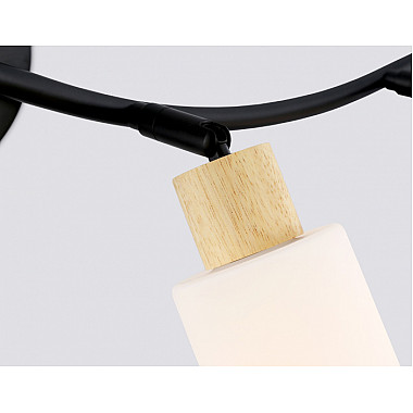 Спот TRADITIONAL TR8723