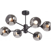 Потолочная люстра V3993-1/6PL