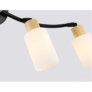 Спот TRADITIONAL TR8723