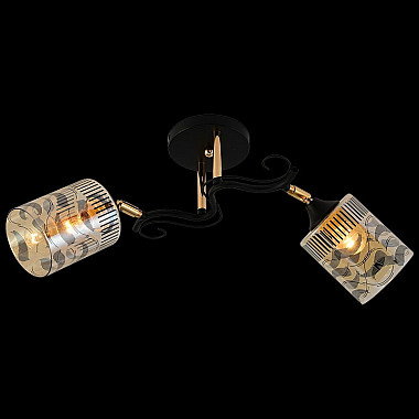 Потолочная люстра 11313-0.3-02 BK+FGD
