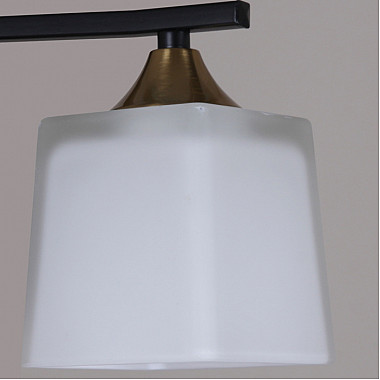 Потолочная люстра 06668-0.3-08 BK+COP