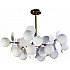 Потолочная люстра Floret ZRS.01201.12
