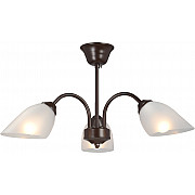 Потолочная люстра V3335-7/3PL