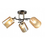 Потолочная люстра SL1N 000066051