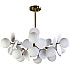 Потолочная люстра Floret ZRS.01201.12