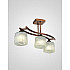 Потолочная люстра SS1N 000061924