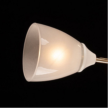 Потолочная люстра Восторг 242017802