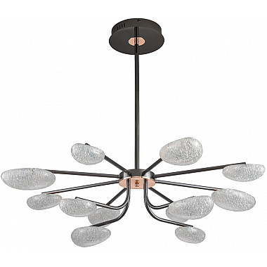 Потолочная люстра Юнни 07693-12PA,29