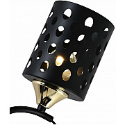 Потолочная люстра 01385-0.3-05 BK+FGD