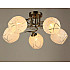 Потолочная люстра SL1N 000023520