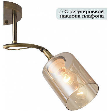 Потолочная люстра Taylor 81452/2W