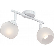 Спот V4313-0/2PL