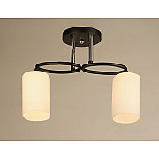 Потолочная люстра SS1N 000029918