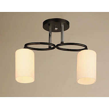 Потолочная люстра SS1N 000029918