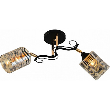 Потолочная люстра 11313-0.3-02 BK+FGD