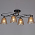 Потолочная люстра 06087-0.3-04 BK+FG