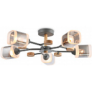 Потолочная люстра TRADITIONAL TR3033233