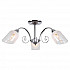 Потолочная люстра Lussole Lgo Apache GRLSP-8091