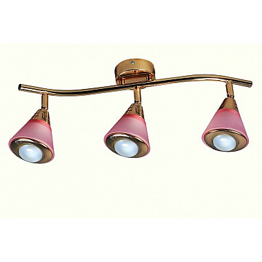 Спот 640/3SA MS FGD PK