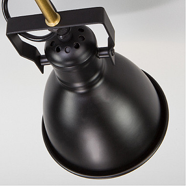 Потолочная люстра Denley 70112/5 черный