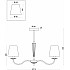 Потолочная люстра Osborn FR2027PL-03BS
