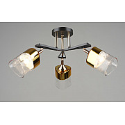 Потолочная люстра SL1N 000065852