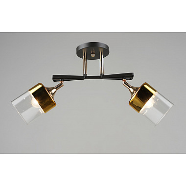 Потолочная люстра SL1N 000065851