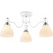 Потолочная люстра TRADITIONAL TR303302