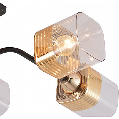 Потолочная люстра 01615-0.3-06 BK+FGD