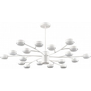 Потолочная люстра Torina 8265/18