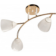 Потолочная люстра Восторг 242017903