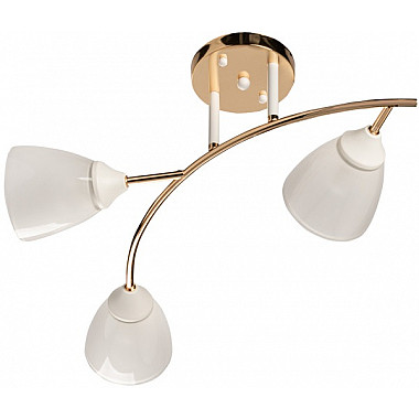 Потолочная люстра Восторг 242017903