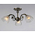 Потолочная люстра SL1N 000024275