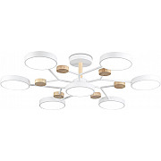 Потолочная люстра COMFORT FL4864