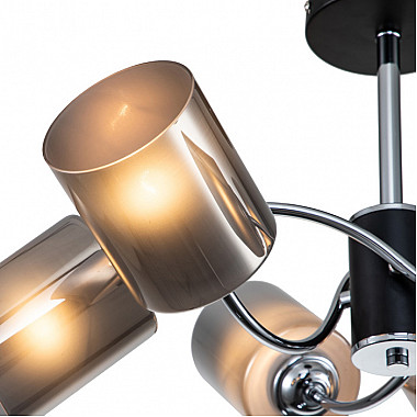 Потолочная люстра Smog 661/6PL