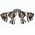 Потолочная люстра Rivoli Jennifer 9104-308 Б0053412