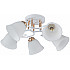 Потолочная люстра AMALFI-325395 325395/5A WH+FG