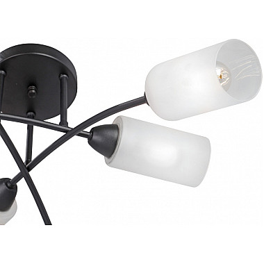 Потолочная люстра V4188-1/6PL