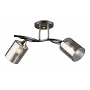 Потолочная люстра SL1N 000066060