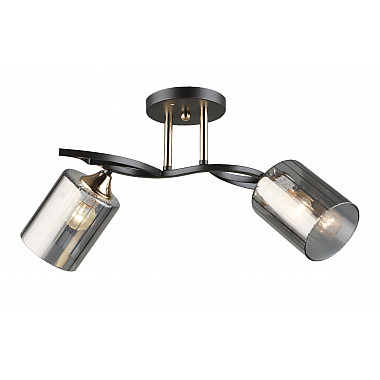 Потолочная люстра SL1N 000066060