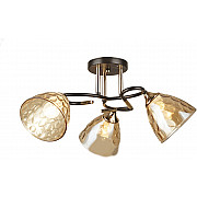 Потолочная люстра SS1N 000067899