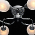 Потолочная люстра MW-Light Олимпия 638018506