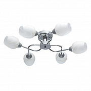 Потолочная люстра MW-Light Олимпия 638018506