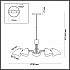 Подвесная люстра Lumion Madison 4540/5C