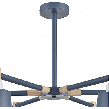 Потолочная люстра Rosalina 8098/6C