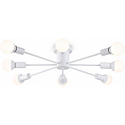 Потолочная люстра Traditional TR80408