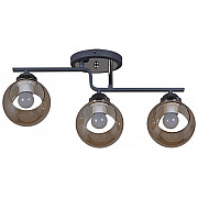 Потолочная люстра 32317-0.3-03