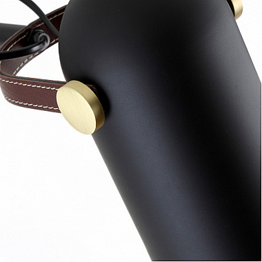 Потолочная люстра Dana LC-11-1210