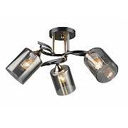 Потолочная люстра SL1N 000066061