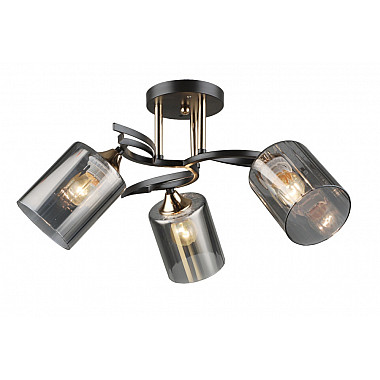 Потолочная люстра SL1N 000066061